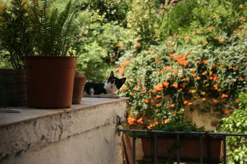 B&B Ingiropernapoli Exterior photo